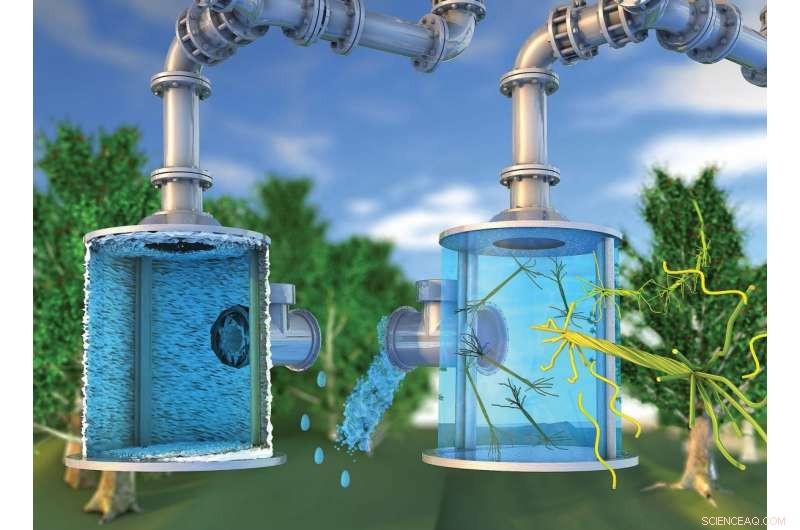 McGill s Hairy Cellulose Nanoparticles: Revolutionary Green Anti-Scaling Solution