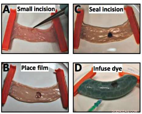 Laser-Activated Silk Sealants Surpass Sutures for Superior Tissue Repair