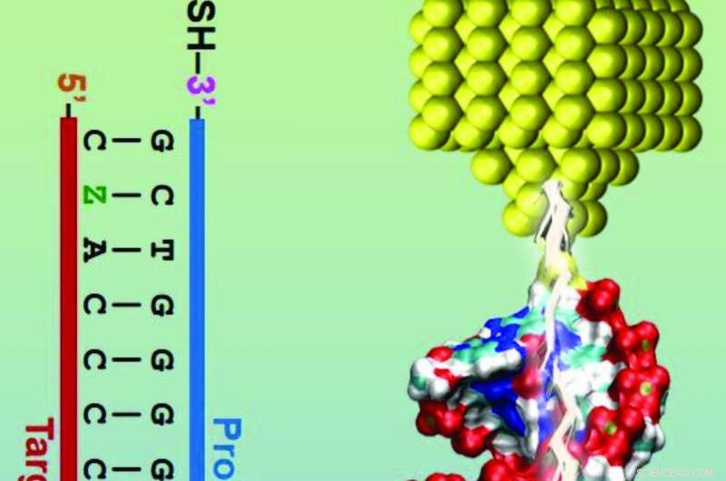 Breakthrough Molecular Electronics Detect Toxic E. coli Strains with Single-Base Precision