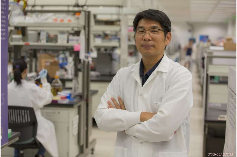 Breakthrough DNA Nanostructures: Tying Intricate Nanoscale Knots from a Single Strand