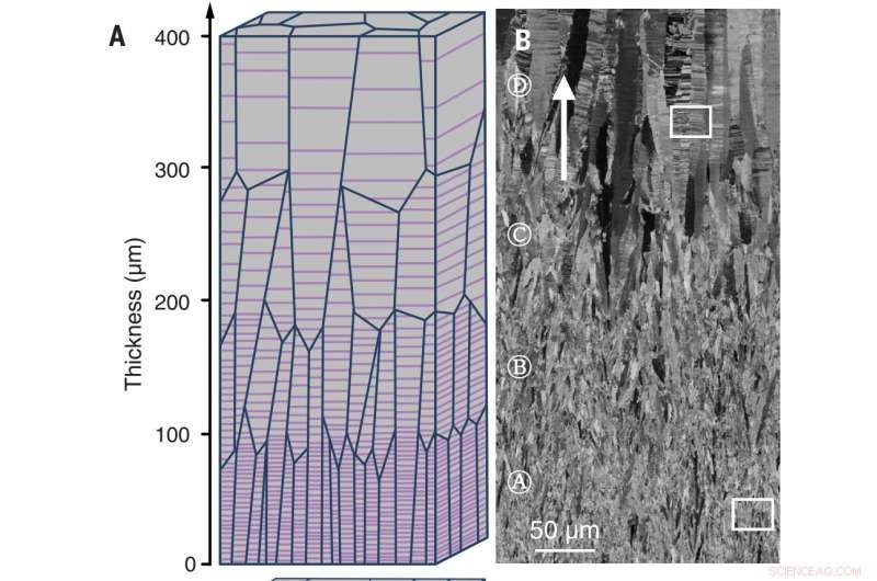 Spaced Nanotwins Unlock Superior Strength in Metals: Breakthrough Research