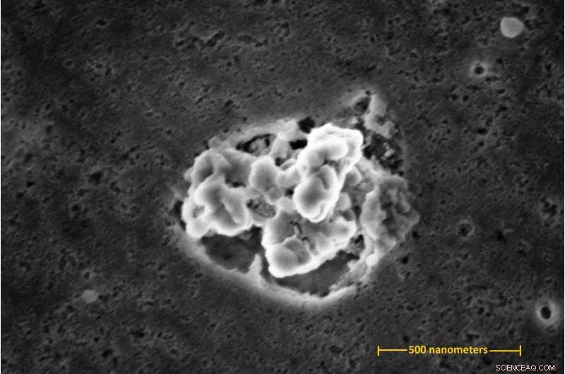 NIST Reveals: Do Antimicrobial Kitchen Items Release Silver Nanoparticles During Use?