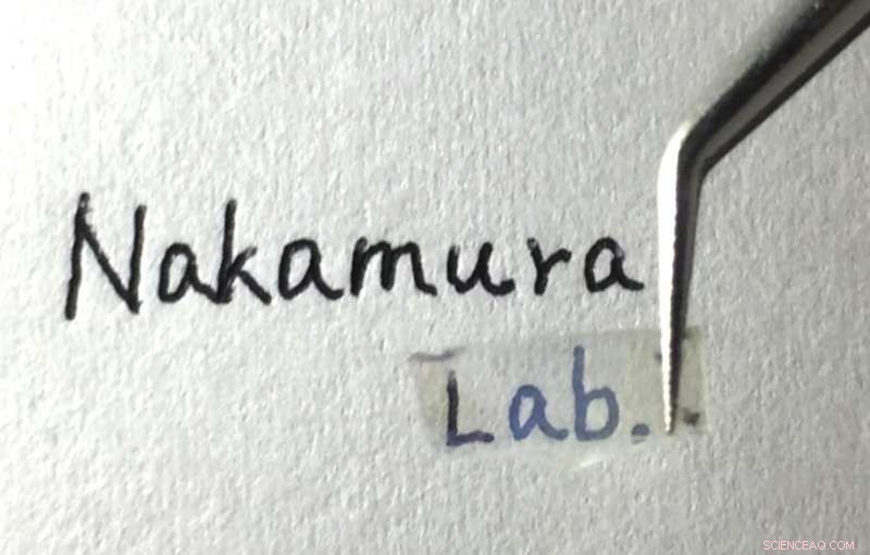 Breakthrough: Enhanced Thermoelectric Power Factor in Transparent ZnO Nanowire Materials