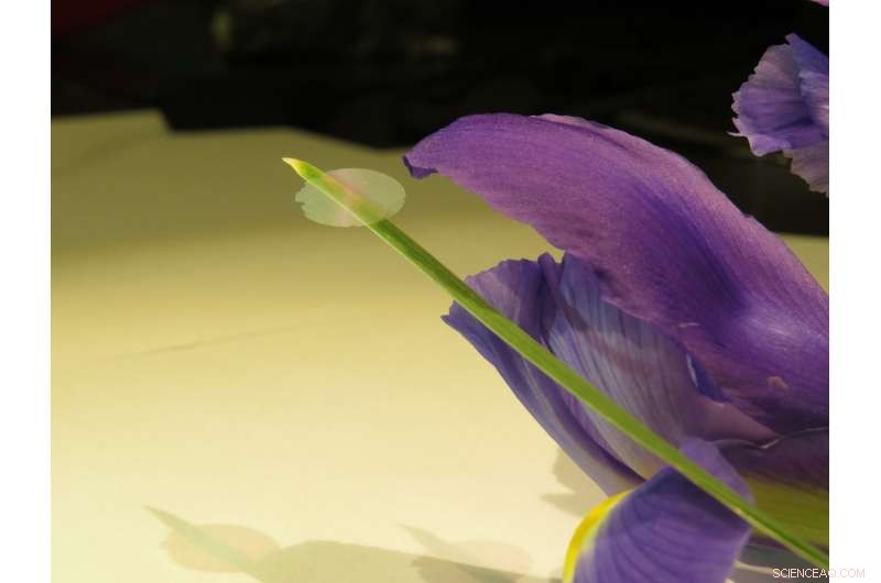 Engineers Unveil Ultrathin, Ultralight Nanocardboard: 10,000x Stiffer Than Solid Equivalents