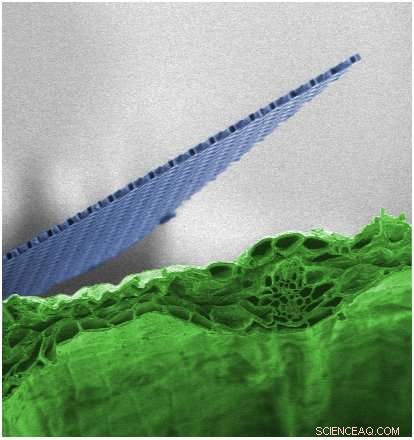 Engineers Unveil Ultrathin, Ultralight Nanocardboard: 10,000x Stiffer Than Solid Equivalents