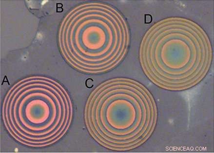 University of Washington Engineers Breakthrough: Functional Optical Metalens from Ultrathin 2D Materials
