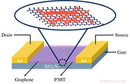 Breakthrough: Graphene-Nanowire Hybrid Detects Light in New Dimensions