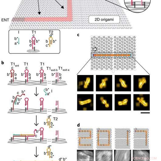 Mastering Nanoscale Mazes: Single-Molecule DNA Navigators on DNA Origami