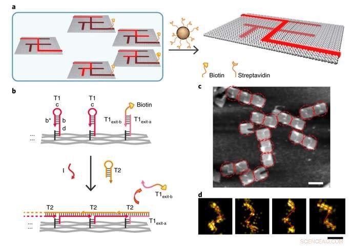 Mastering Nanoscale Mazes: Single-Molecule DNA Navigators on DNA Origami