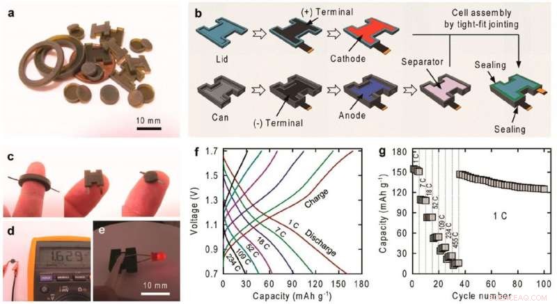 Breakthrough Fabrication: Zn-PANI Batteries in Any Desired Shape