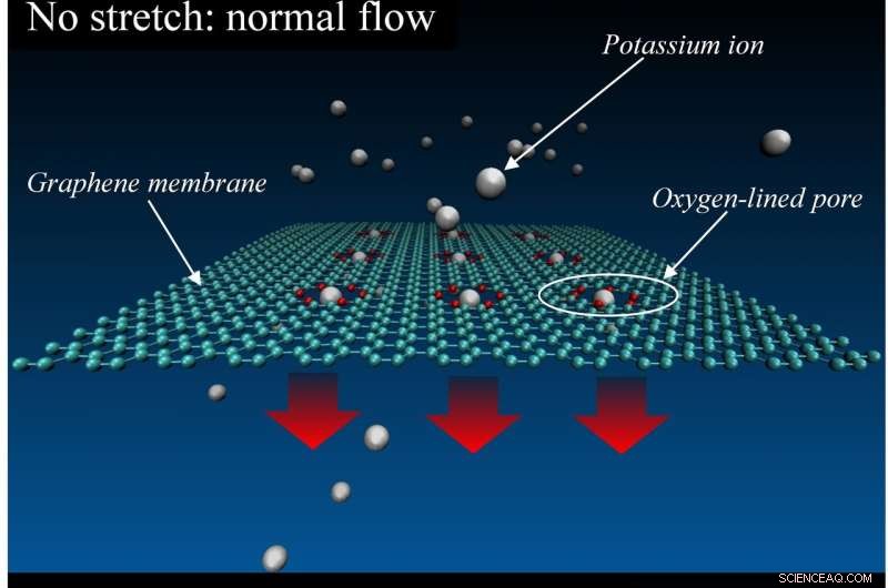 NIST Simulations Reveal Graphene s Potential as a Stretchable, Tunable Ion Filter