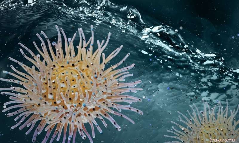 Sea Anemone-Inspired Nanocoagulant: Breakthrough in Efficient Water Treatment