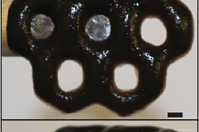 Brown University Breakthrough: 3D-Printed Smart Material from Seaweed Alginate and Graphene Oxide