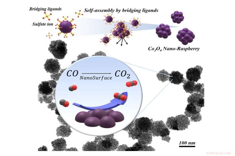 Sustainable Nano-Raspberry Catalyst Neutralizes Toxic Carbon Monoxide – NITech Breakthrough
