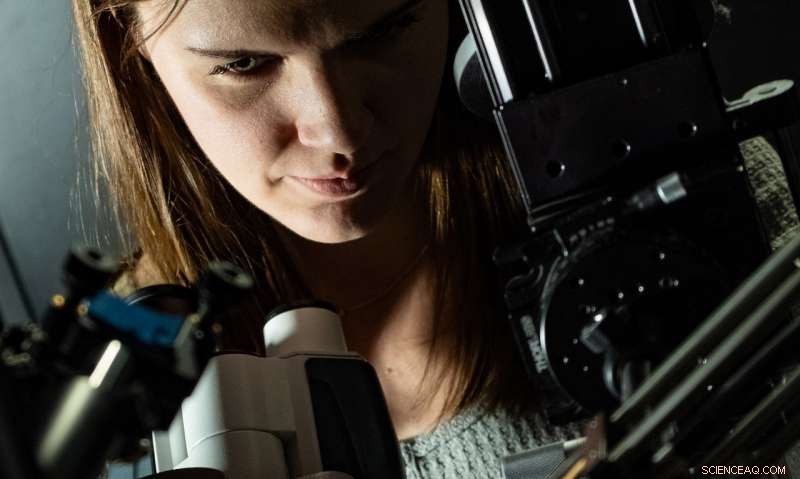 Rice University Breakthrough: Light Perfectly Modulates Gold Nanoparticles  Plasmonic Response