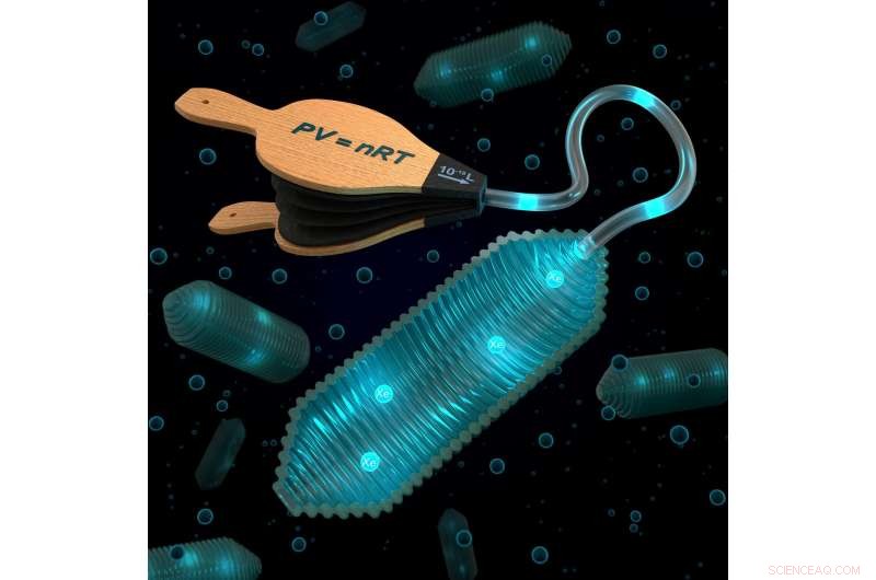 Breakthrough Elastic MRI Contrast Agents Boost Sensitivity with Xenon Gas
