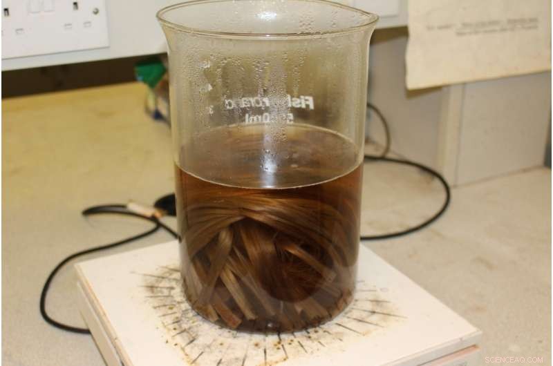 Graphene-Enhanced Jute Fibers: World s First Sustainable Alternative to Synthetic Materials