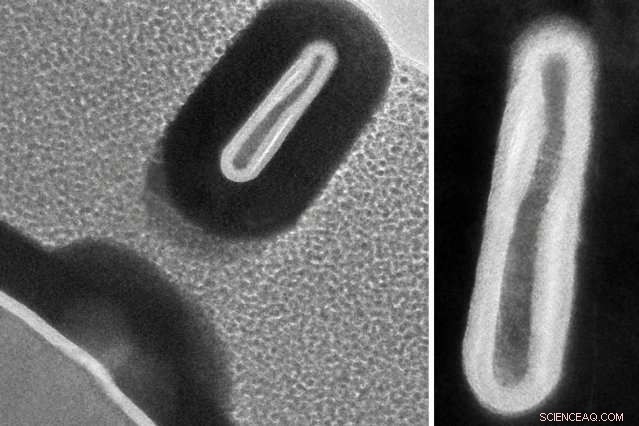 MIT Engineers Unveil World s Smallest 3D Transistor: Just 3 Nanometers Wide