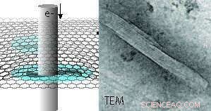Proteins in Graphene Liquid Cells Show Superior Radiation Tolerance During TEM Imaging