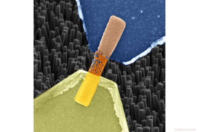 Breakthrough: Jülich Scientists Engineer Nanowire-Based Artificial Synapses
