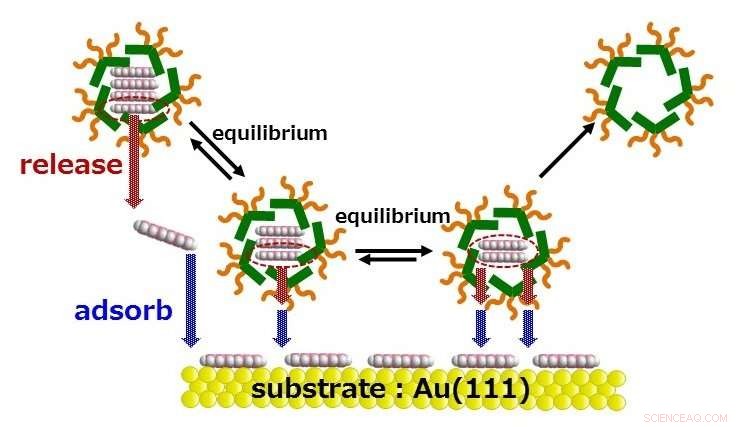 Breakthrough: Dissolving Water-Insoluble Nanographene in Water to Form Molecular Adlayers