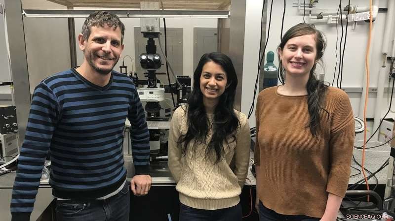 University of Chicago Scientists Pioneer Light-Powered Pacemaker Technology