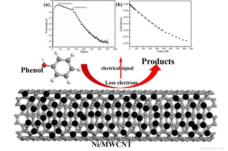 Advanced Ni/MWCNT Electrochemical Sensor for Rapid, Sensitive Phenol Detection in Wastewater