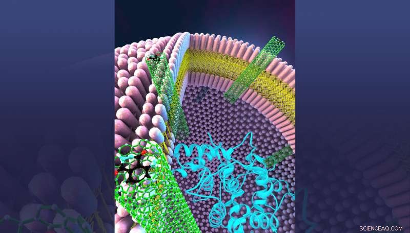 Carbon Nanotubes Mimic Cellular Membranes: Porins Enable Enzyme Reactions in Synthetic Vesicles