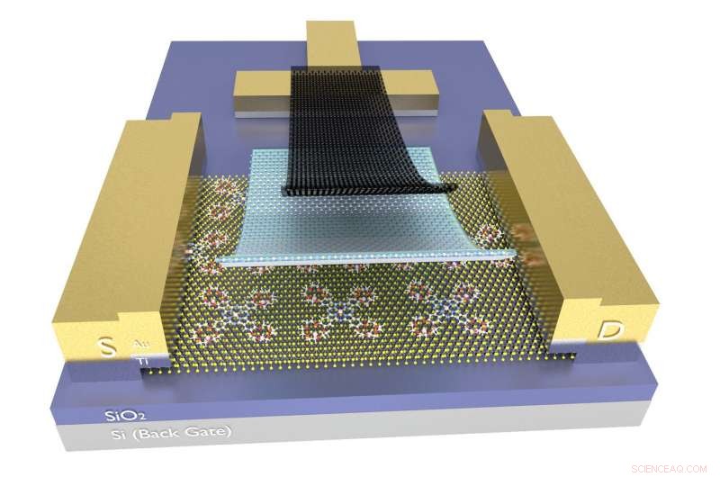 Why Two Dimensions Outperform Three in Revolutionary Electronics Memory