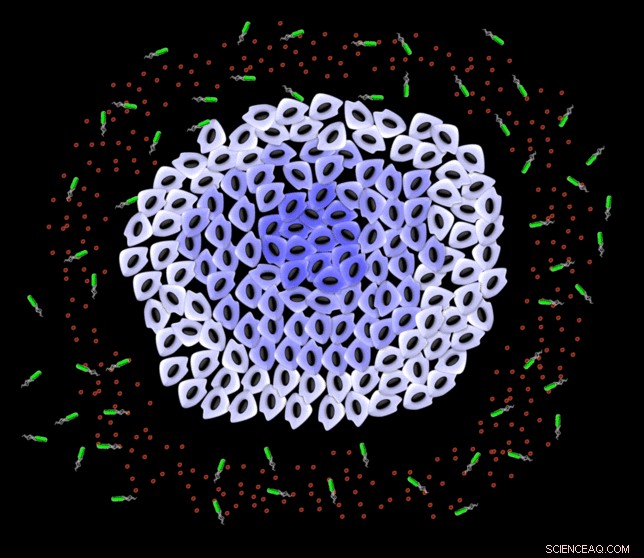 Virginia Tech s NanoBEADS: Revolutionary Bacteria-Based Drug Delivery Outperforms Conventional Methods