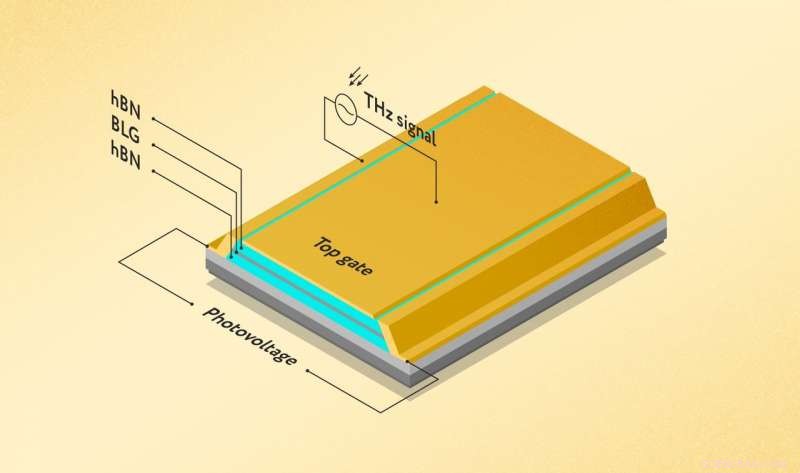 Breakthrough Graphene Terahertz Detector Harnesses Electron Waves for Advanced Wireless Tech