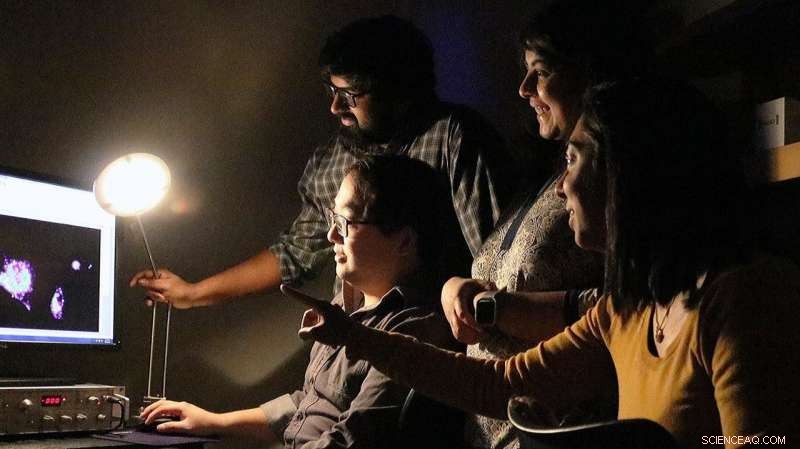 DNA Nanomachines Reveal Hidden Lysosome Subgroups in Groundbreaking UChicago Study