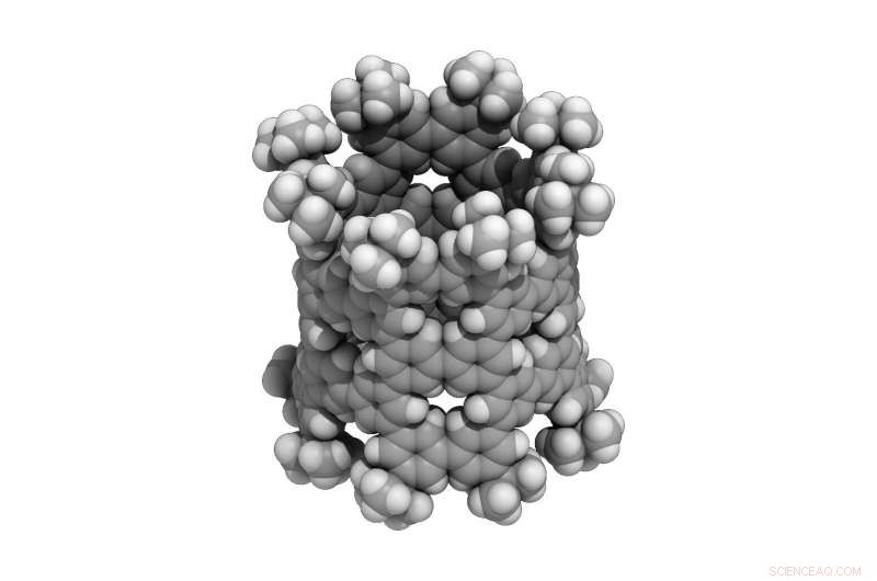 Breakthrough: Nanometer-Scale Tubes Crafted from Simple Benzene Molecules for Nanocarbon Semiconductors