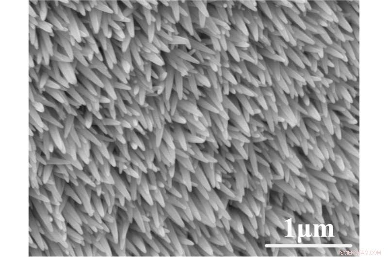 Artificial Compound Eyes: Mimicking Insect Vision for Robots and Autonomous Vehicles