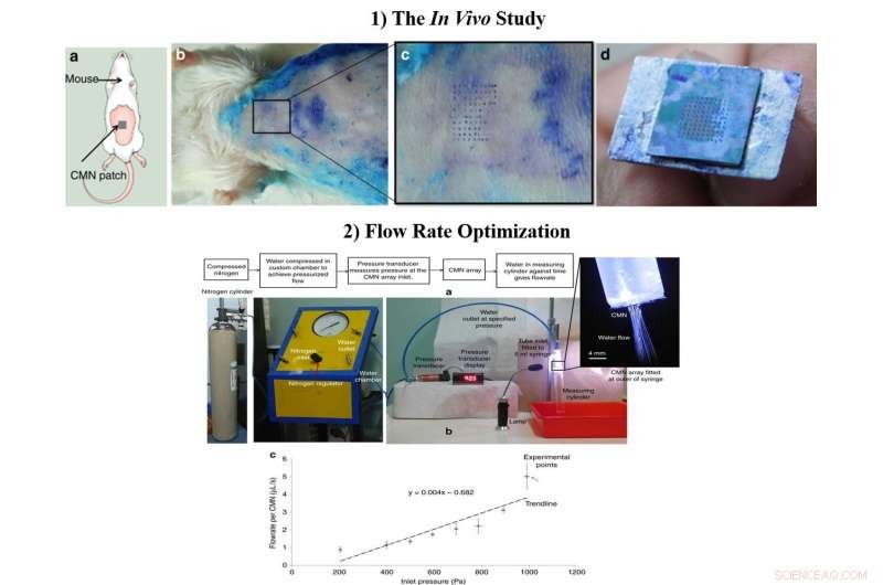 Glassy Carbon Microneedles: Breakthrough in Painless Transdermal Drug Delivery