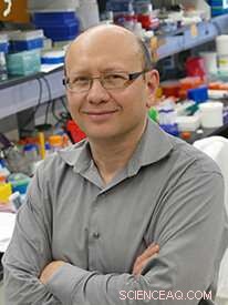 Breakthrough Insights into Immune Response Unlock Safer Nanomedicines