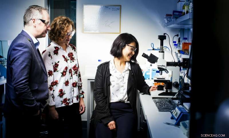 Unlocking Sticky Water: Breakthrough Mechanism for Effective Antifouling Surfaces