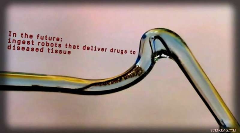 EPFL & ETH Zurich Unveil Adaptive Micro-Robots for Precision Drug Delivery