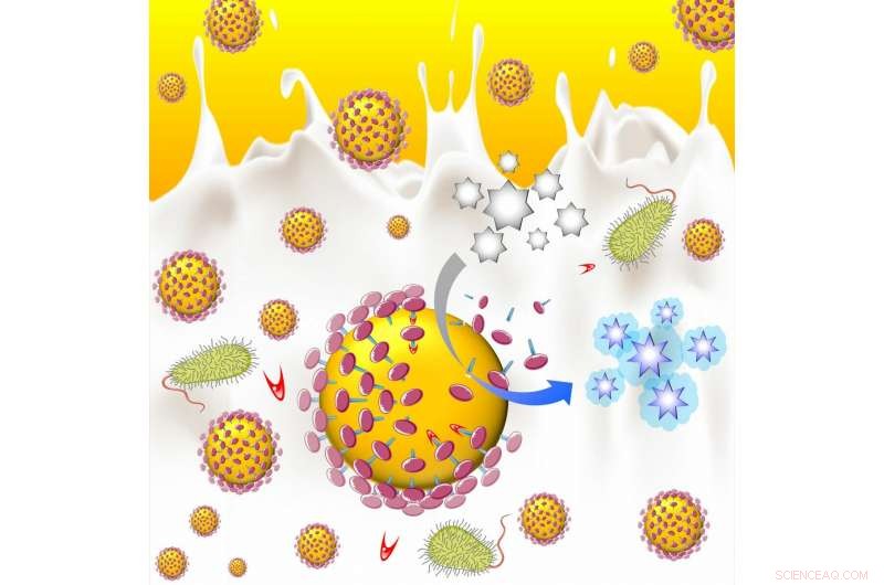 Breakthrough: Queen s Researchers Unveil Rapid Test for Detecting Diseases and Infections