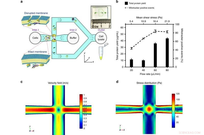 Precision Extraction of Functional Mitochondria Using Microfluidic Devices