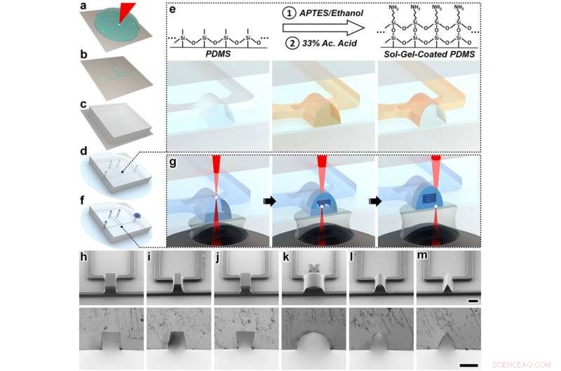Breakthrough 3D Nanoprinting Technique Revolutionizes Medicine and Robotics