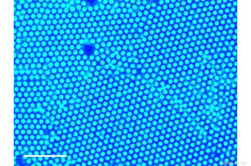 Breakthrough UV Light Method Precisely Controls Fluid Flow and Assembles Particles