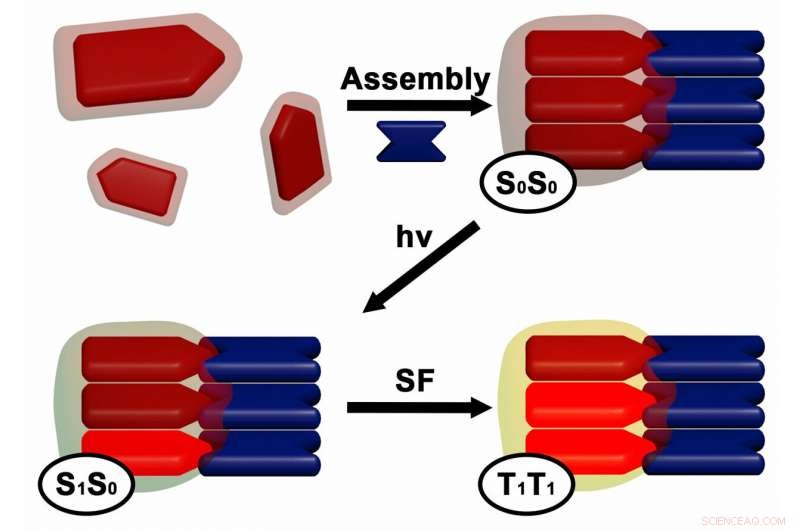 Breakthrough Self-Assembling Nanomaterial Unlocks Efficient, Affordable Solar Power Harvesting