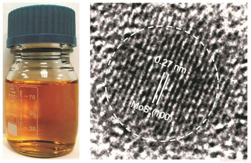 NUS Engineers Unveil Breakthrough Strategy for Designing MoS2 Quantum Dots with Cancer-Killing Potential