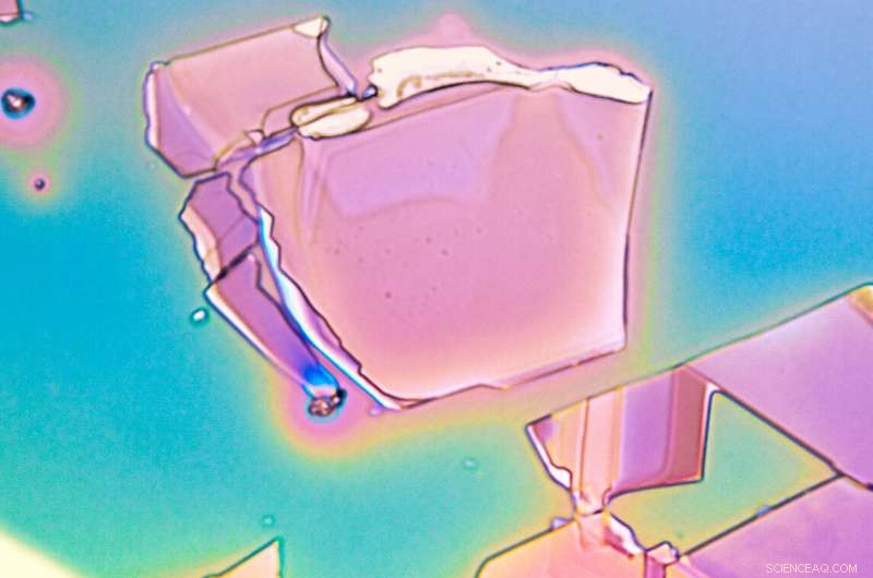 NYU Engineers Unveil Breakthrough in Low-Cost Atom-Thin Nanochip Fabrication
