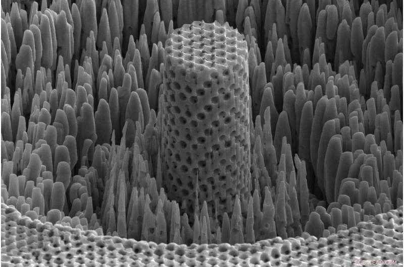 Engineers Unveil Metallic Wood: Titanium Strength, Water-Like Density