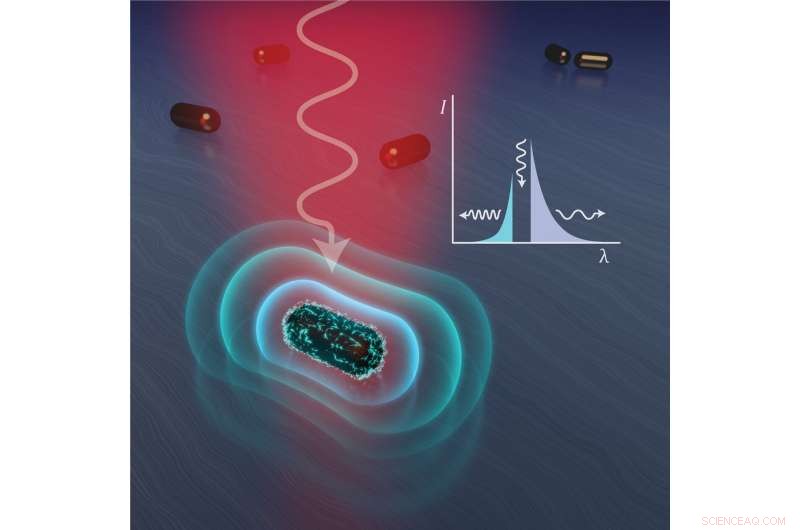 Rice University Study: Photoluminescence Dominates Light Emission from Plasmonic Nanoparticles