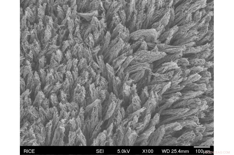 Rice University Toughens Laser-Induced Graphene with Innovative Composites