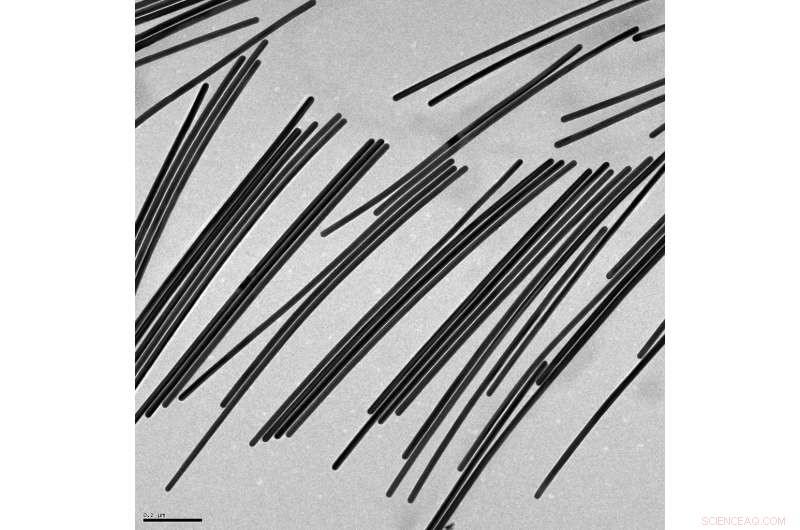 Vitamin C Boosts Growth of Uniform Gold Nanowires for Advanced Optical and Electronic Applications