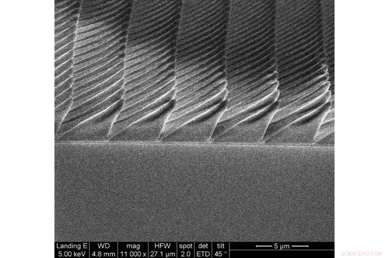 Firefly-Inspired Surfaces Boost LED Bulb Efficiency, Penn State Researchers Reveal